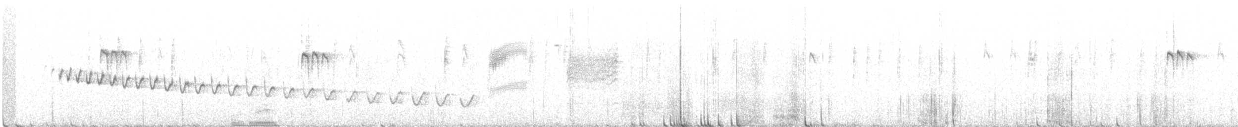 Canyon Wren - ML316918581