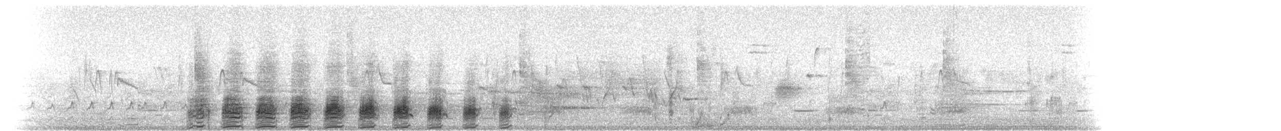 Stockente - ML316954021