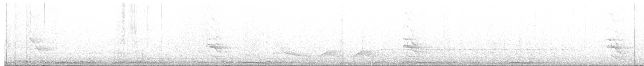Chouette rayée - ML317050031