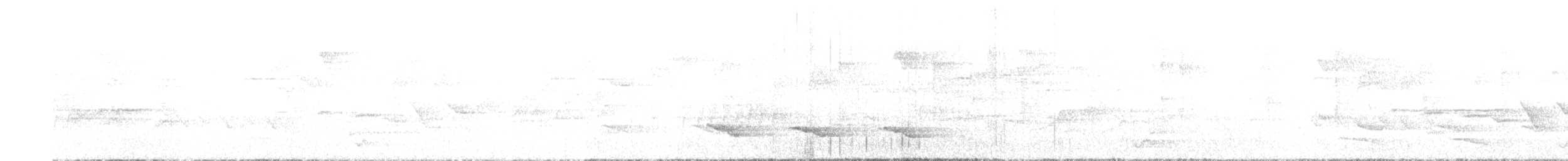kolibřík klínoocasý (ssp. excellens) - ML317111811