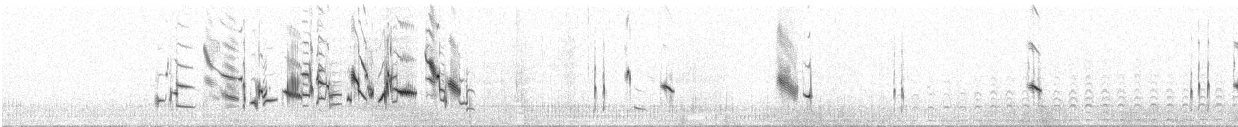 Lapland Longspur - ML31728761