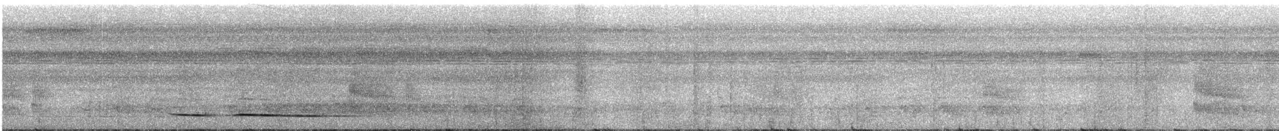 Ochre-striped Antpitta - ML317299021
