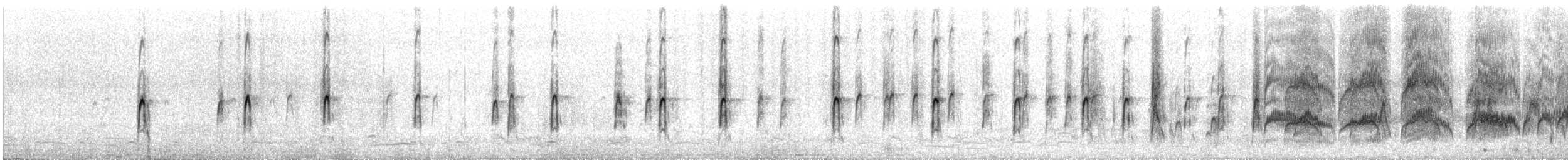 Thorshühnchen - ML31730531