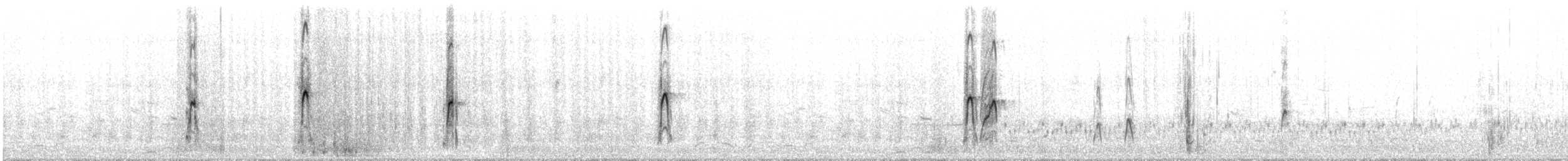 Плавунець плоскодзьобий - ML31731131