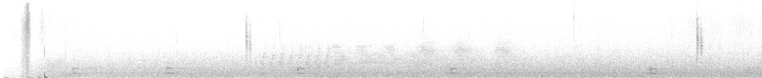 מלכילון אמריקני - ML317335711