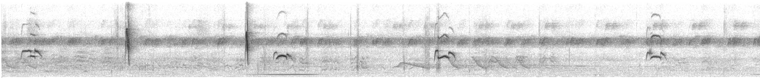 Черногрудый алапи - ML31738791