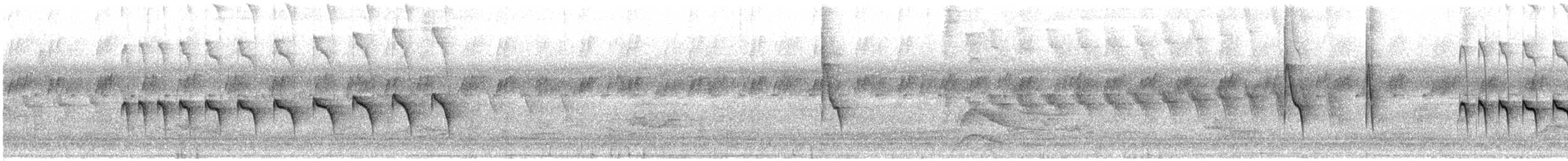 Черногрудый алапи - ML31738801