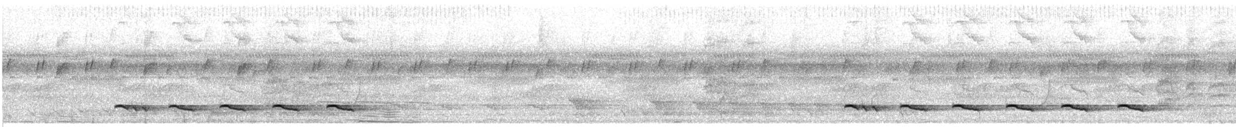 Боливийский муравьеловка - ML31738831