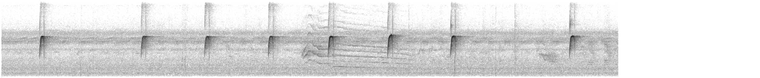 Пятнистый тоди-мухолов - ML31738891