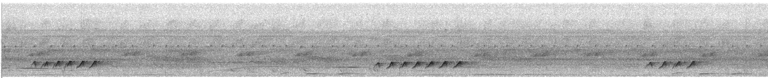 Белоглазый аттила - ML31739251