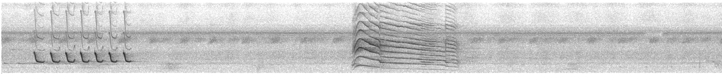 Белокрылый бекард - ML31739261