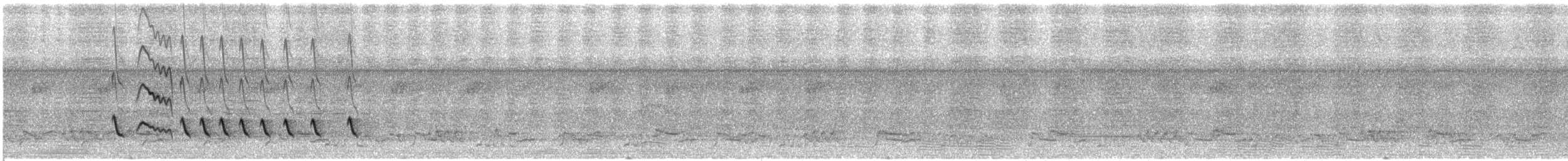 Белокрылый бекард - ML31739271