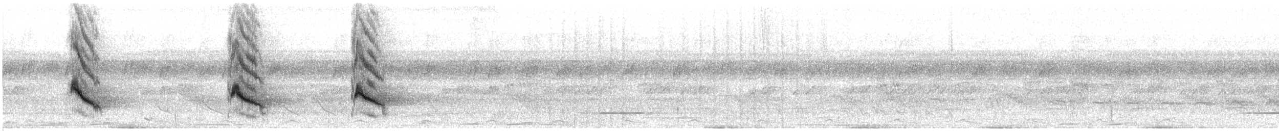 Гиацинтовая сойка - ML31739301