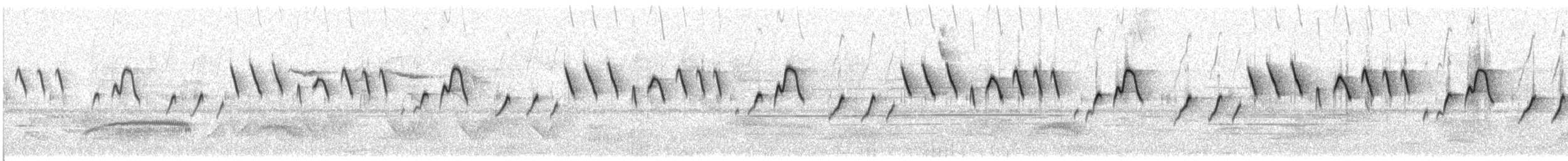 Spectacled Redstart - ML31741231