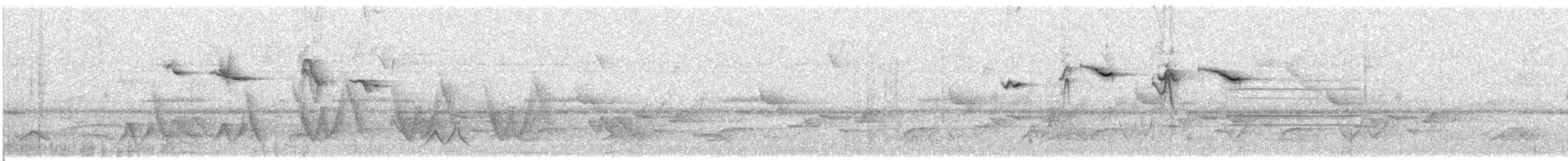 Bluish Flowerpiercer - ML31741431