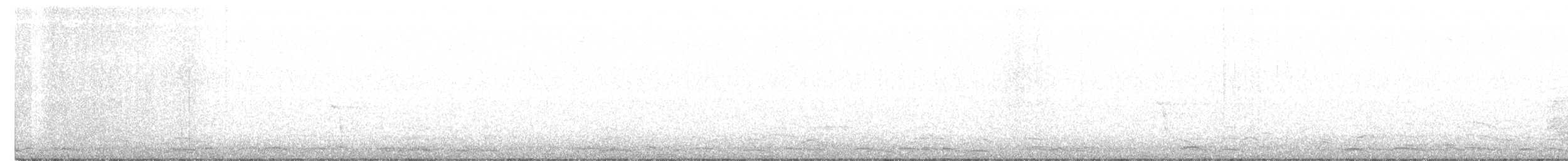 Cygne siffleur - ML317437821