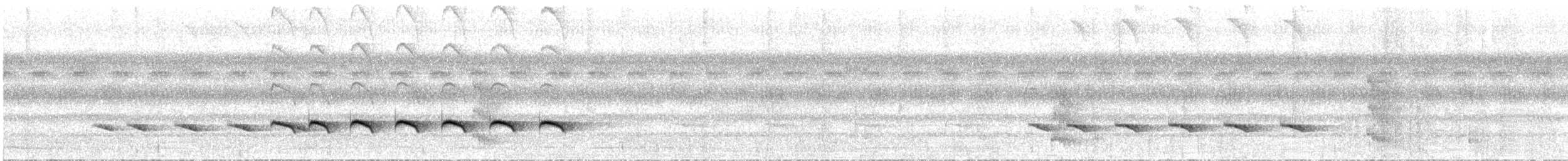 svartkronemaurfugl (minor/jensoni) - ML31748501