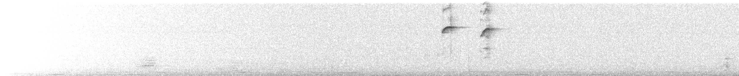 datlíček zlatoflitrový (ssp. buffonii) - ML317503621