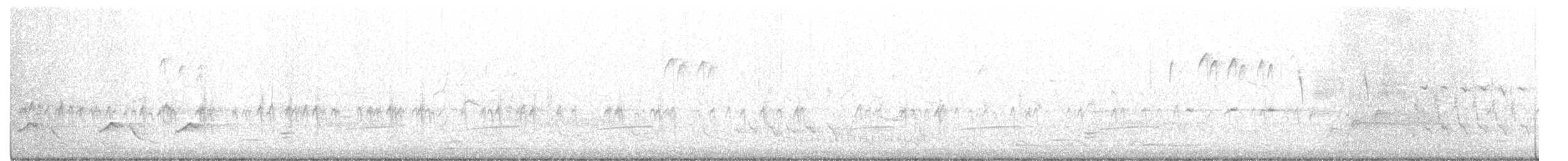 křivka obecná - ML317511081