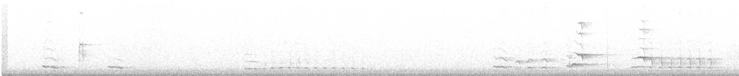 カナダカケス（obscurus／griseus） - ML317527051