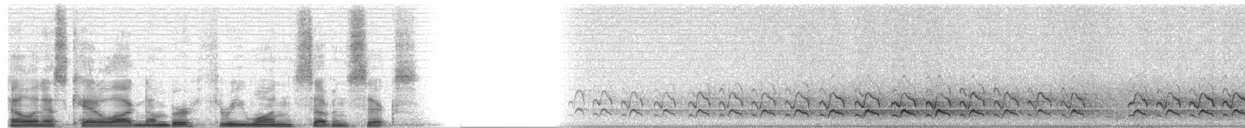 Bar-tailed Godwit (European) - ML3176