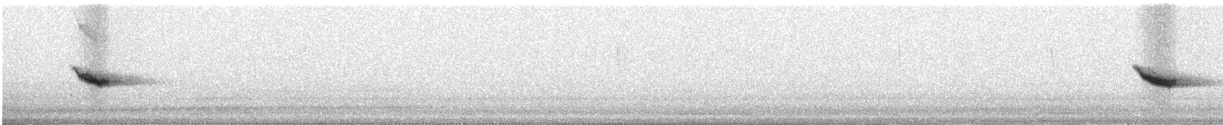 白斑紫嘯鶇 - ML317631601
