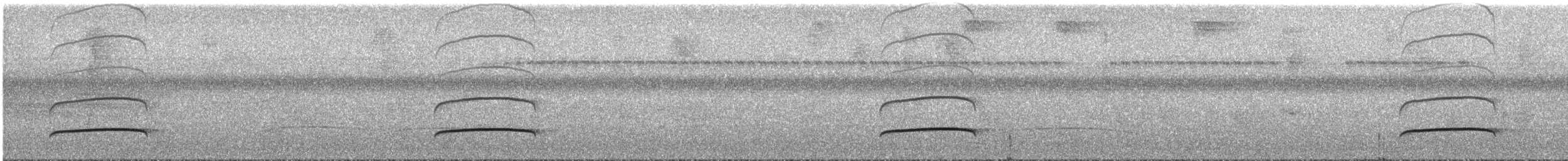 Темноголовый миарх (nigriceps/atriceps) - ML317744401
