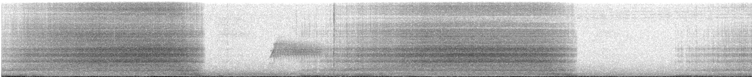 Aura Gallipavo - ML317760061
