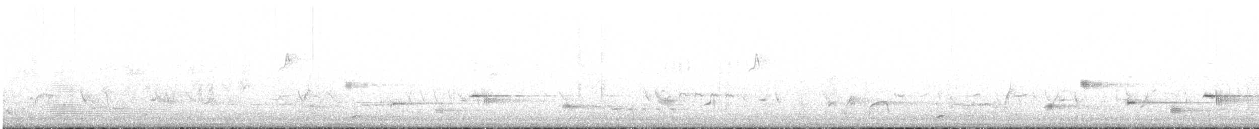 Kara Boğazlı Kamçıkuşu - ML317832151