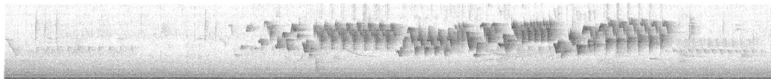 Troglodyte de Baird - ML317845691
