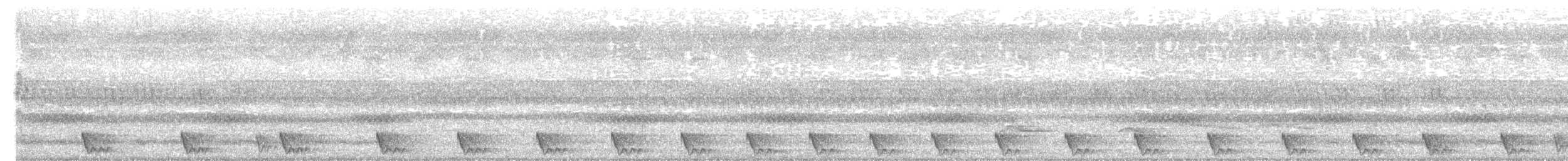 Langschwanz-Nachtschwalbe - ML317912451