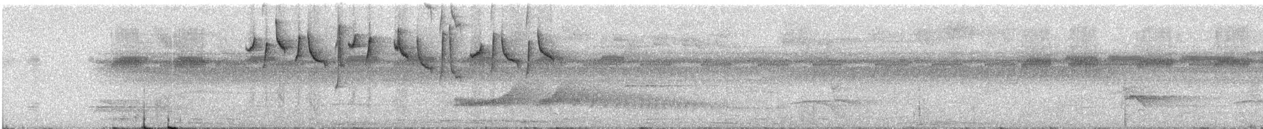 Прямоклювый колибри-отшельник - ML317973051