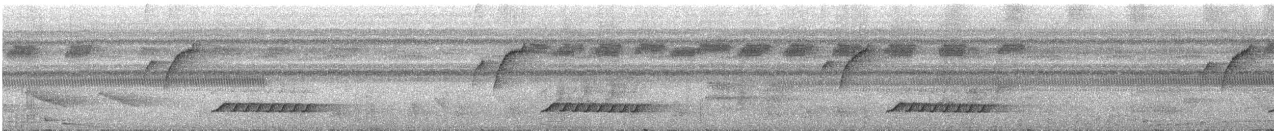 Troglodyte à poitrine blanche (groupe leucosticta) - ML317974861