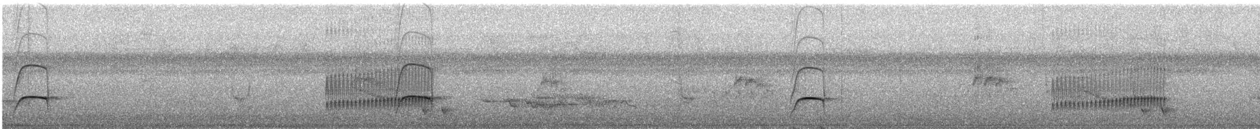 Jacamar à queue rousse (rufoviridis/heterogyna) - ML318002491