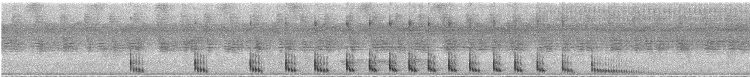 ギンムネカッコウ - ML318062371