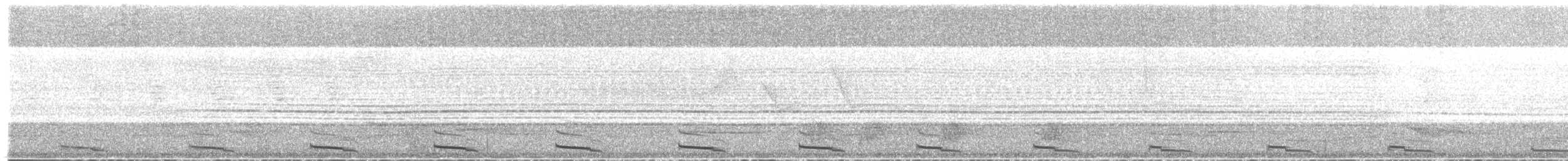 ギンムネカッコウ - ML318062381