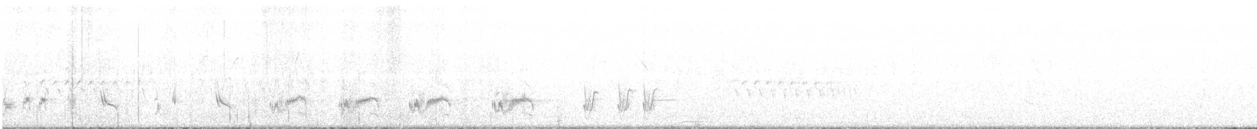 California Thrasher - ML318100601