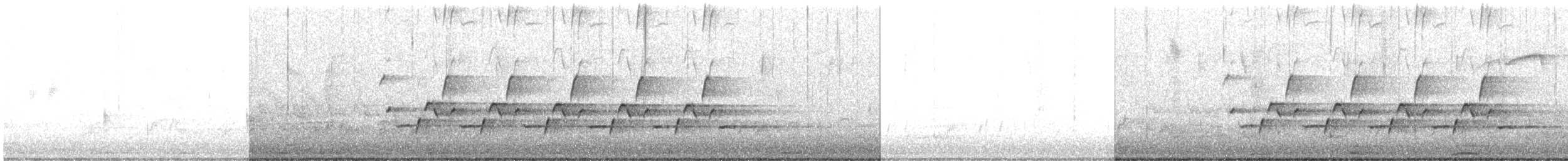 チャバラマユミソサザイ - ML318115831