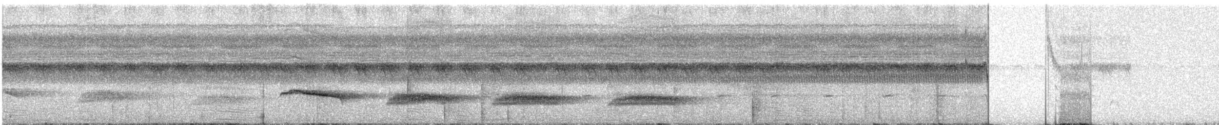 Чернопятнистая гологлазка - ML318122101