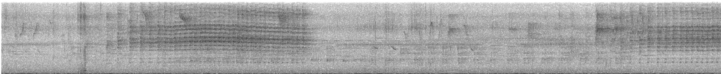 stripeløvgransker - ML318200501