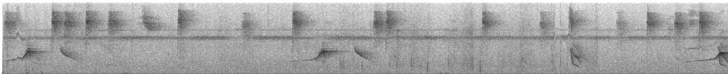 Светлобрюхий тиранн-плакса - ML318217371