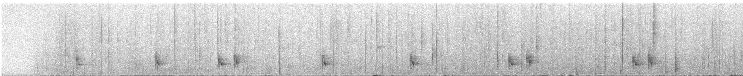 Plain-tailed Wren - ML318224651