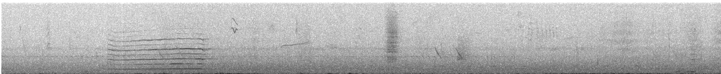 Gri Göğüslü Dağ Tukaneti - ML318235481