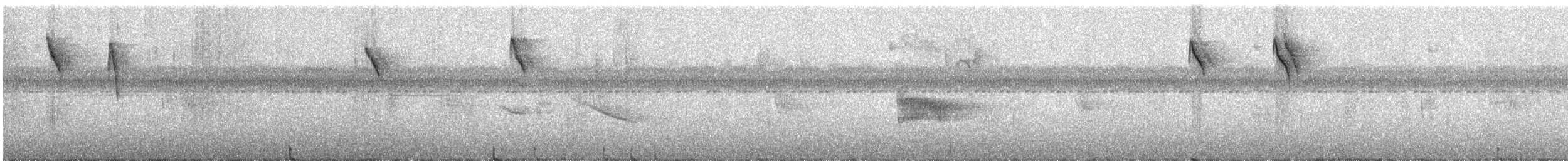 Queue-grise d'Équateur - ML318238081