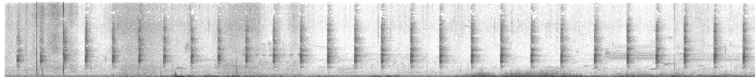 Королевский пастушок (elegans) - ML318267011