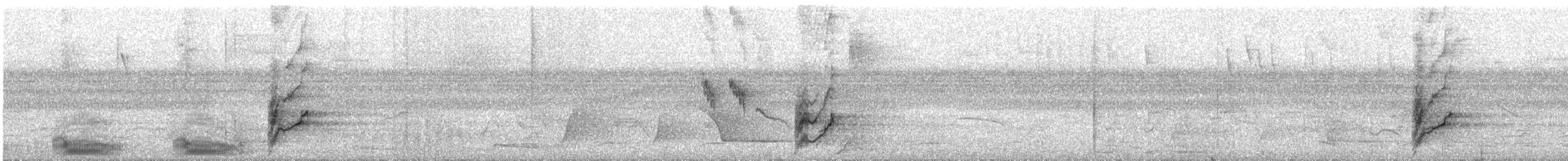 Orange-cheeked Parrot - ML318308131