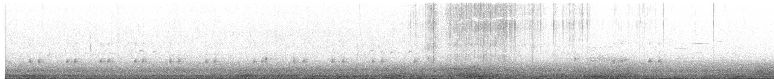 Virginia Rail - ML318365471