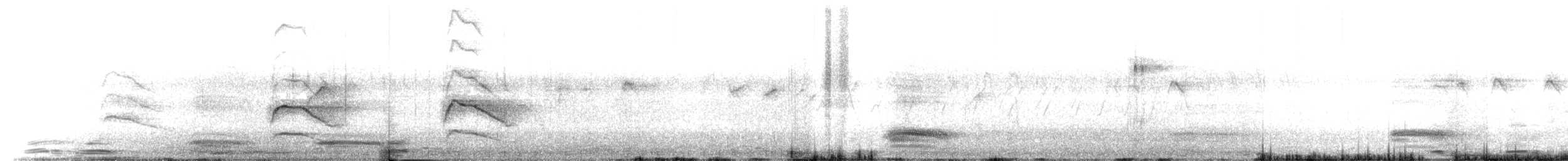 Schikrasperber - ML318403541