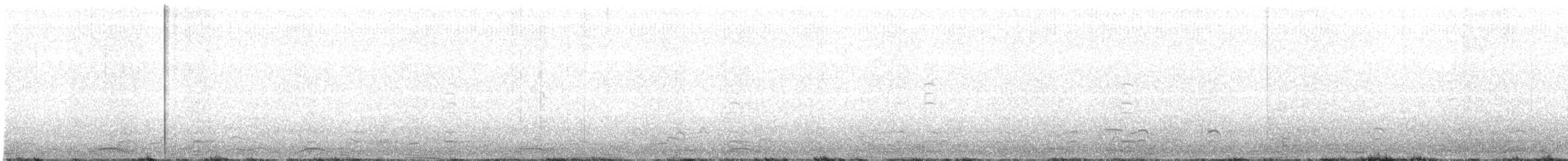 Cygne siffleur - ML318418871