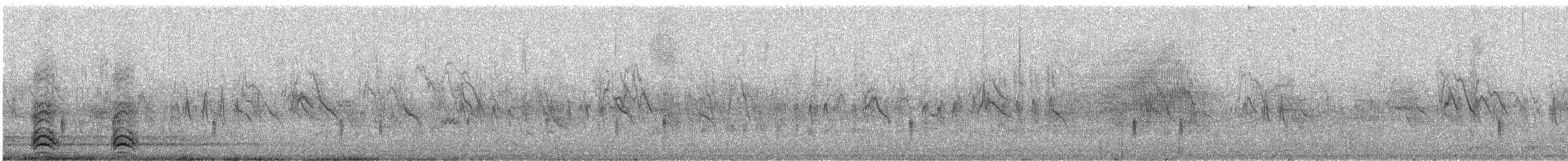 Pine Siskin - ML318424191